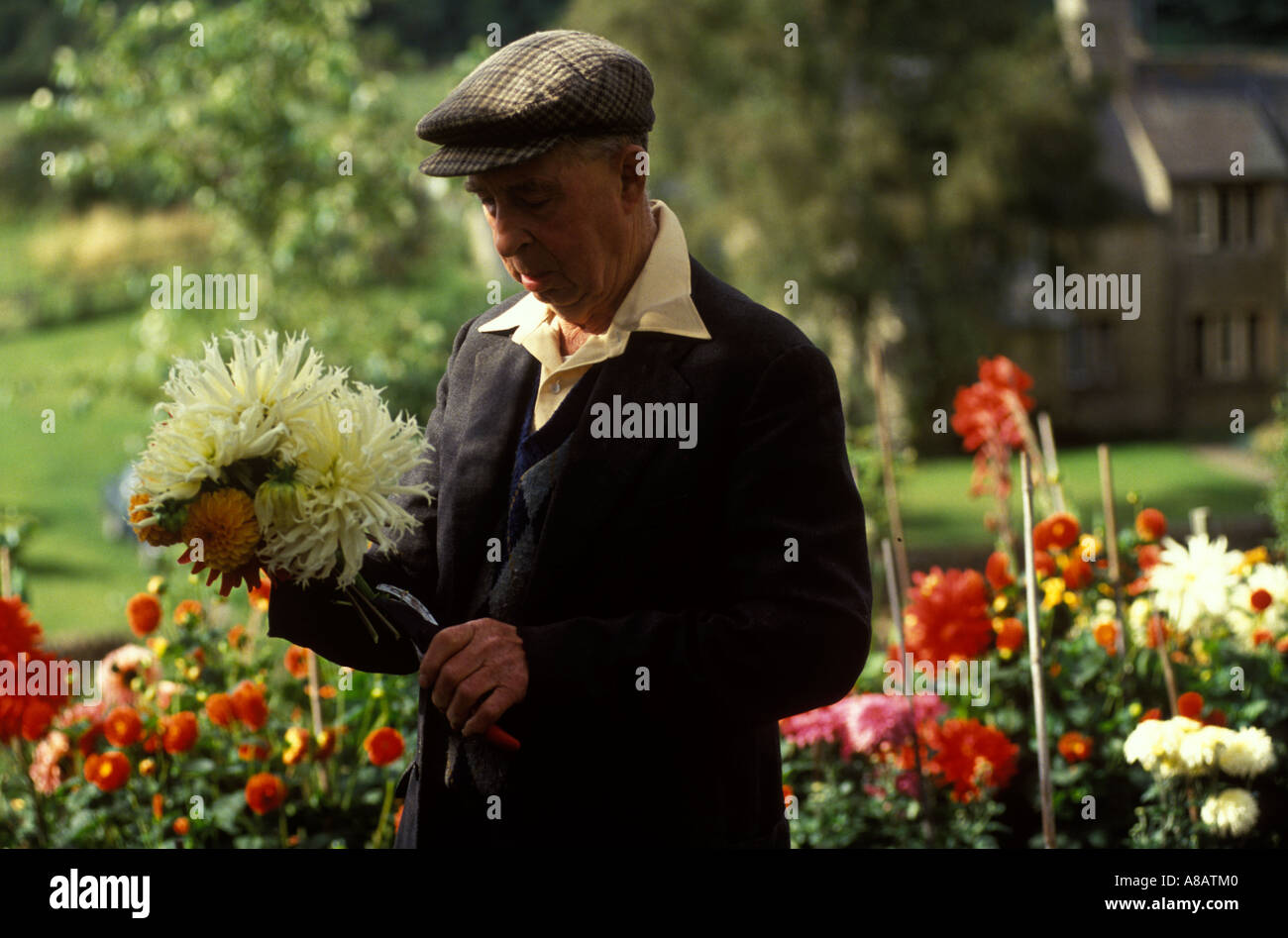 Elderly Man Wearing Flat Cap High Resolution Stock Photography and ...