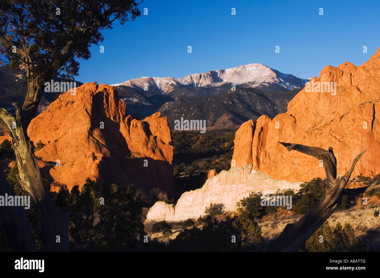 Pikes Peak - Sunrise Over Garden of the Gods in Colorado Springs