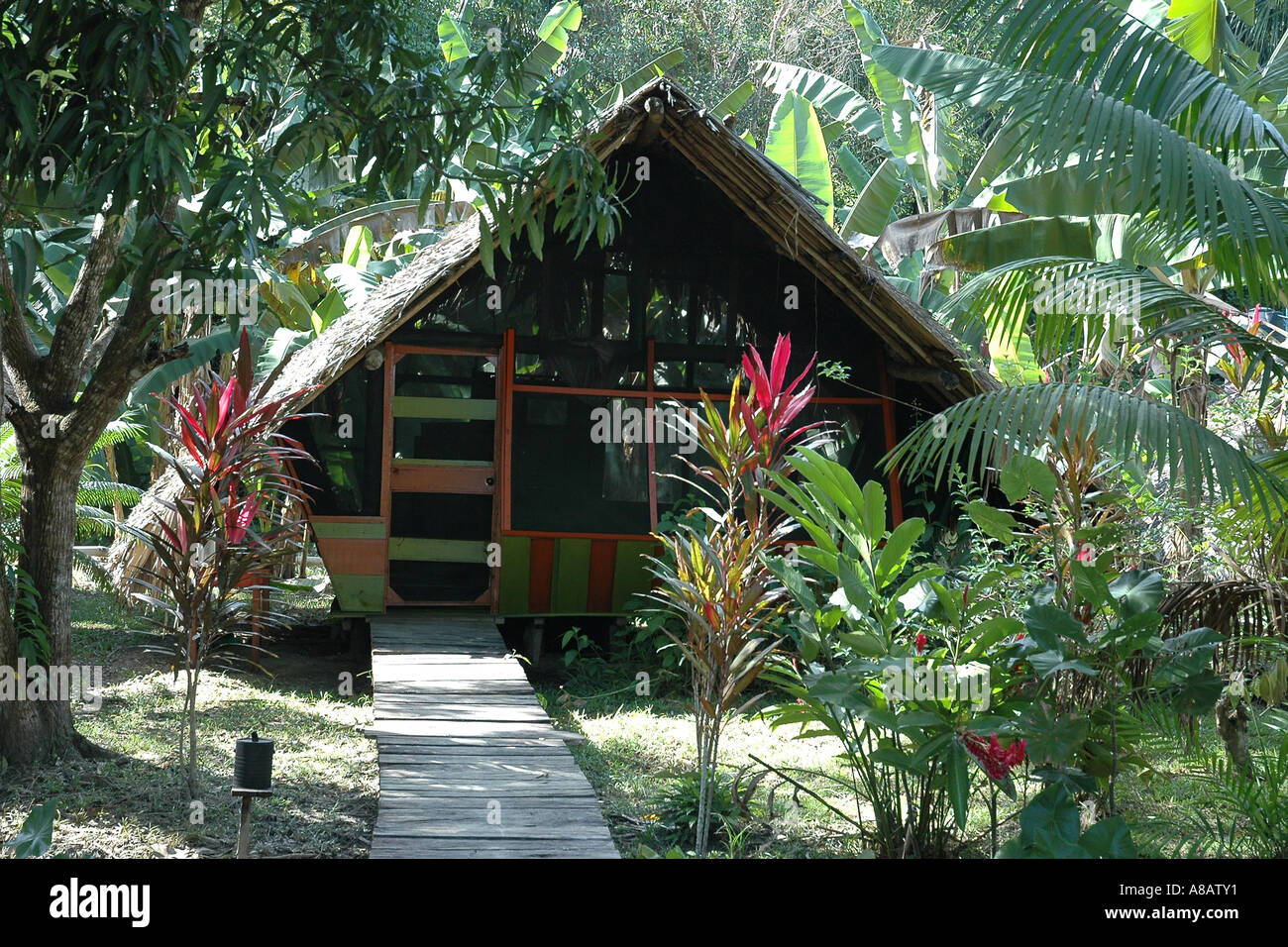 Riverside guest cabin at the Orinoco Delta Lodge, screened against insects, and its privacy guarded by greenery Stock Photo