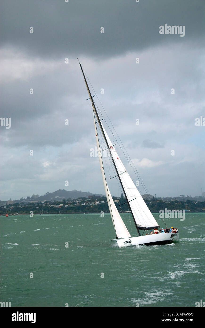 Americas match racing maxi yacht NZL 40 sailing on Auckland harbour Stock Photo