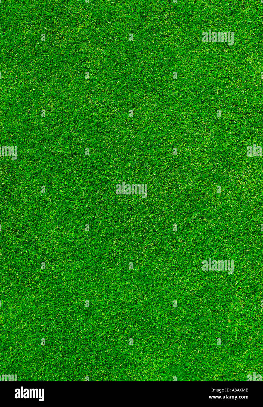 Mown short grass hi-res stock photography and images - Alamy