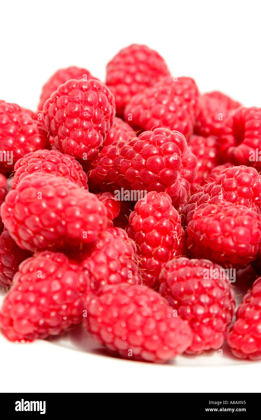 Common name Raspberry Latin name Rubus idaeus Stock Photo Alamy