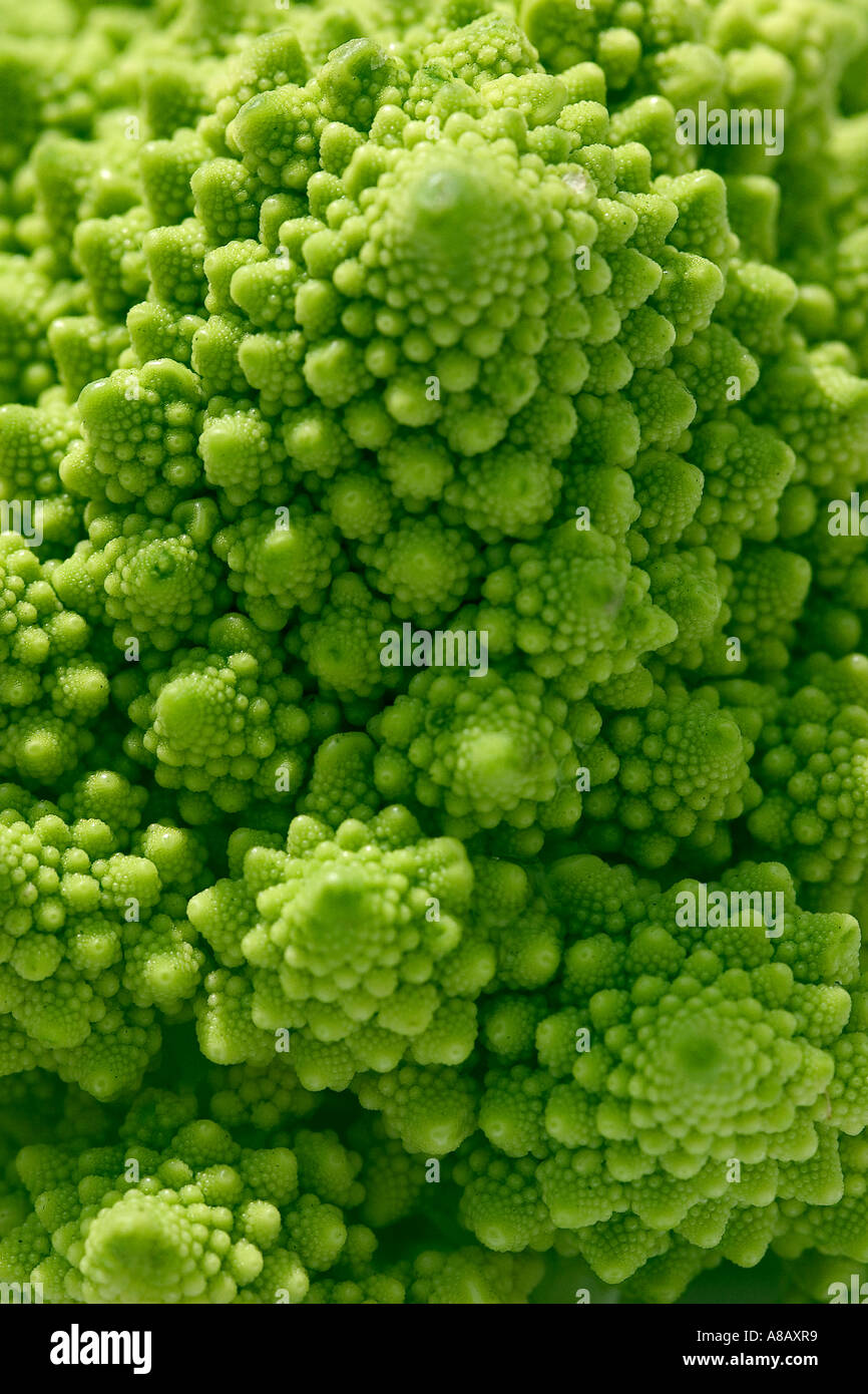 Close up shot of Broccoli 'Romanesco' in portrait format Stock Photo