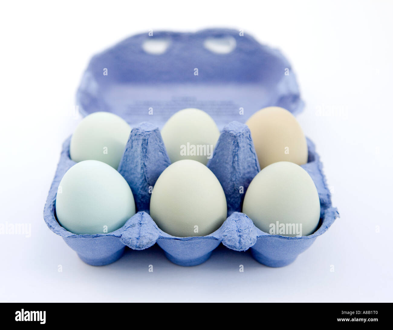 A box of pastel coloured eggs in a blue egg box Stock Photo Alamy