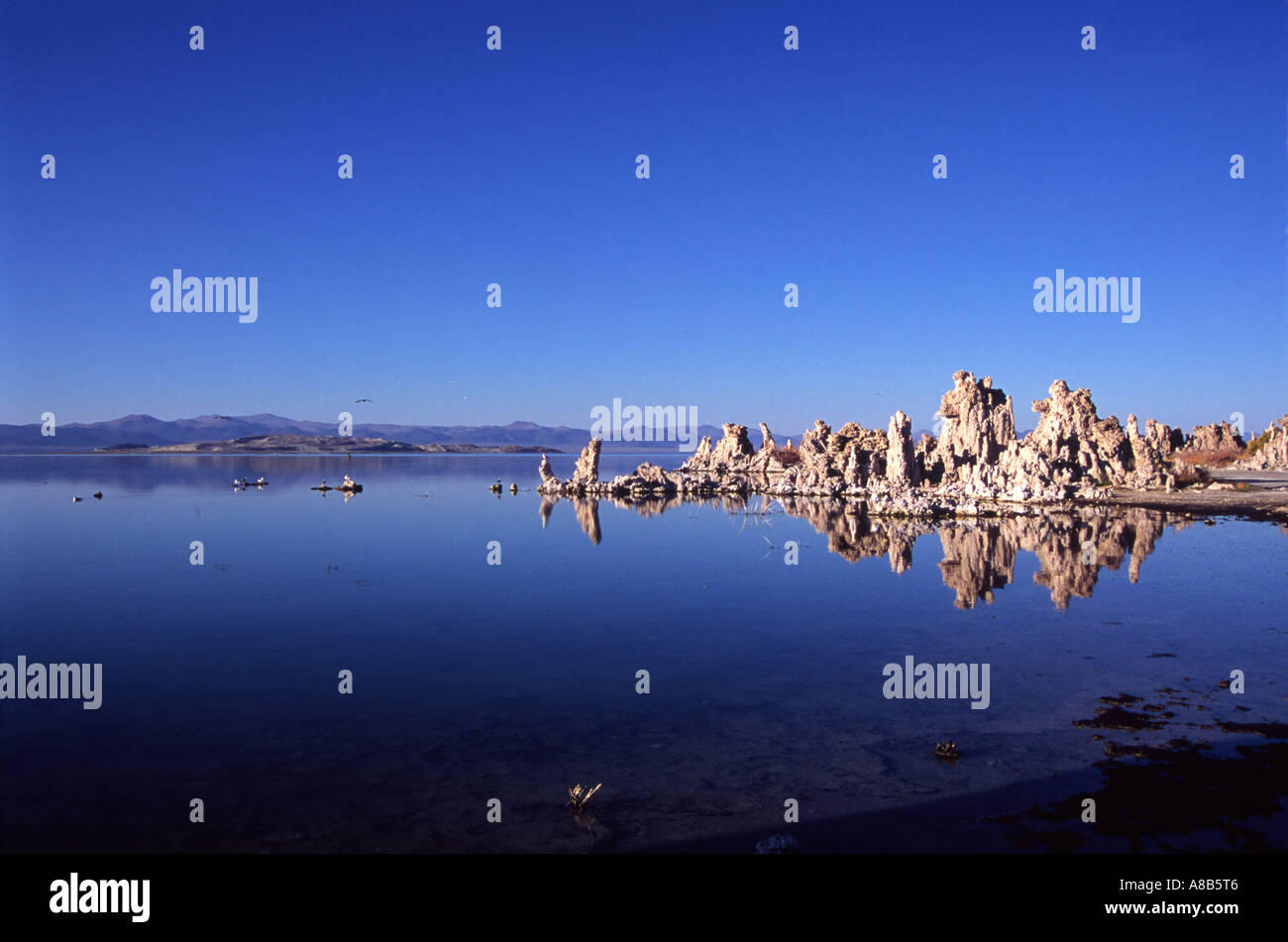 Mono lake california Stock Photo Alamy