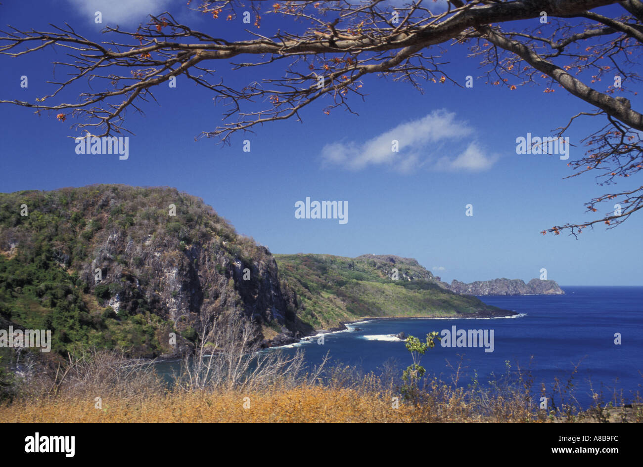 Brazil Fernando de Noronha Baia dos Golfinhos Stock Photo - Alamy