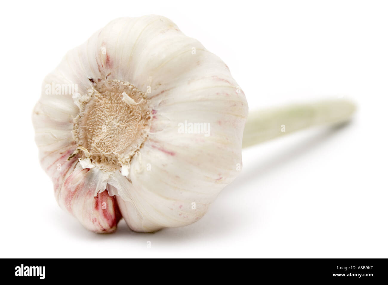 Prepare looking Cut Out Stock Images Pictures Alamy Prepare looking Cut Out Stock Images Pictures Alamy