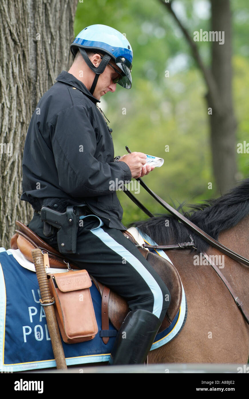 US Park Police Officer issue ticket for traffic violation Stock Photo