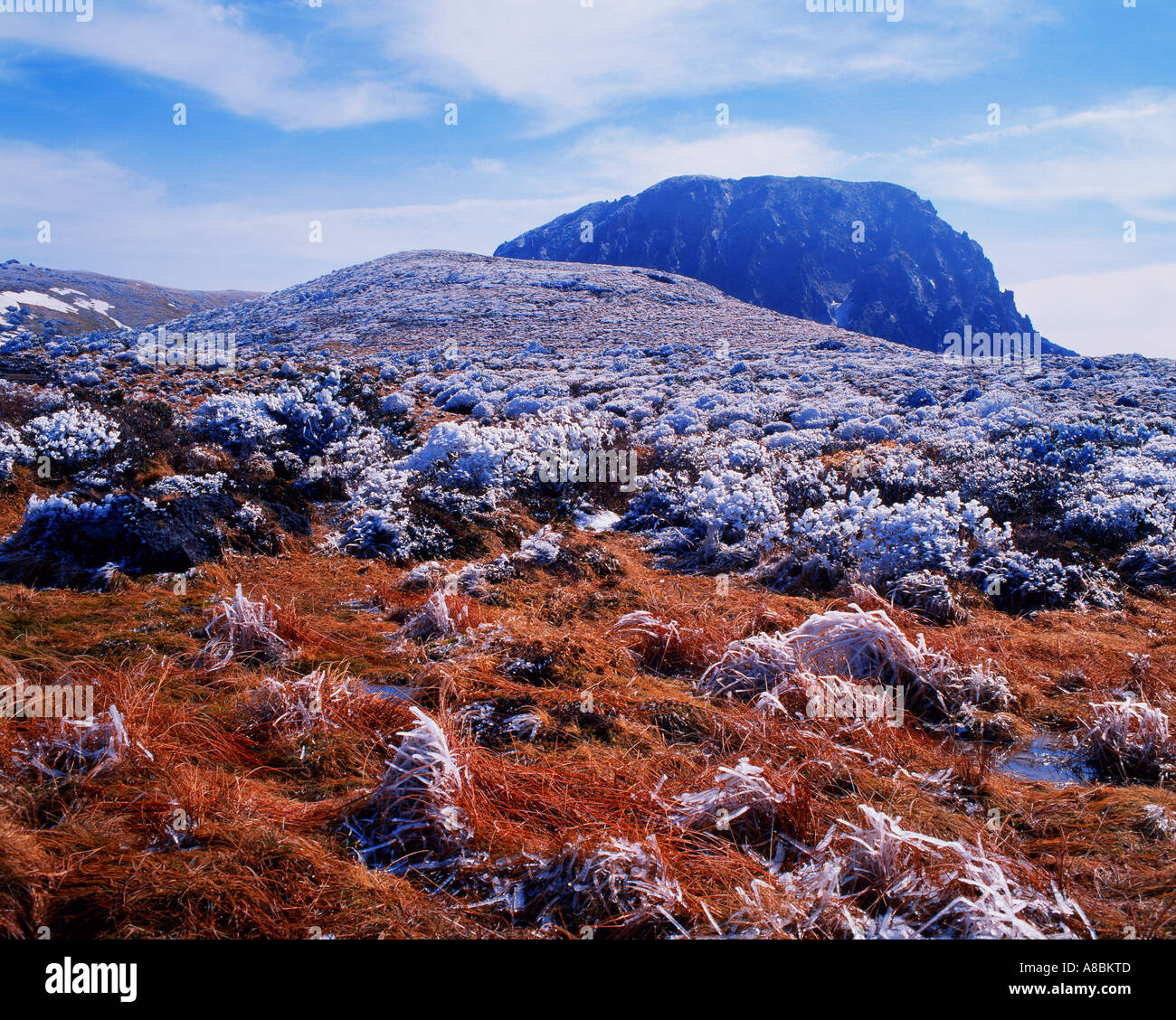 Jeju Island snow scene of Halla mountain winter Stock Photo Alamy