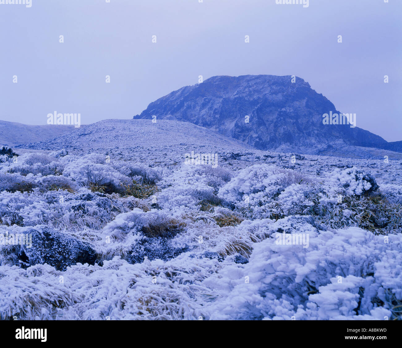 Jeju Island snow scene of Halla mountain winter Stock Photo Alamy