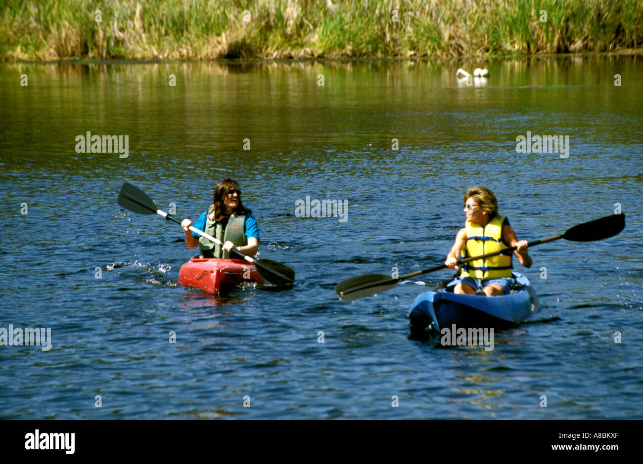 Florida kayaking Homosassa River model released Stock Photo Alamy