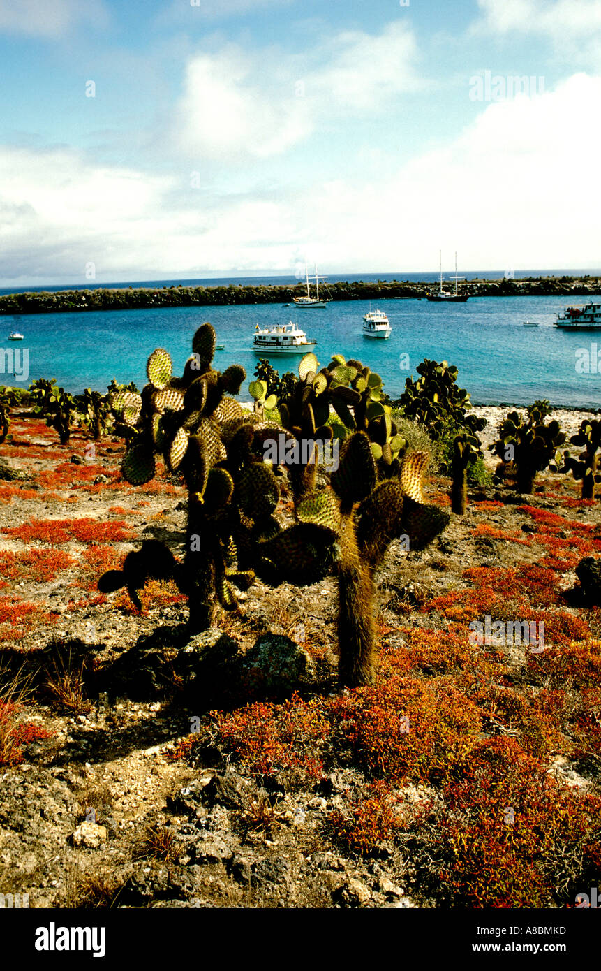 Touring galapagos hi-res stock photography and images - Alamy