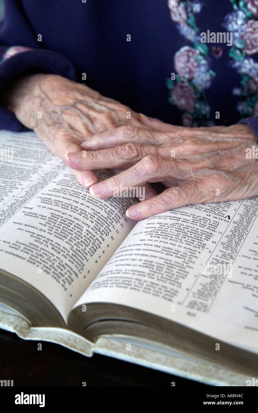 Senior female reading the bible and praying Stock Photo