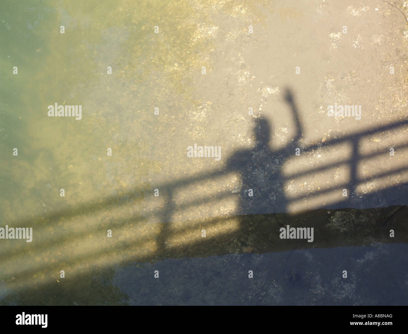person's shadow in river seen from bridge Stock Photo - Alamy