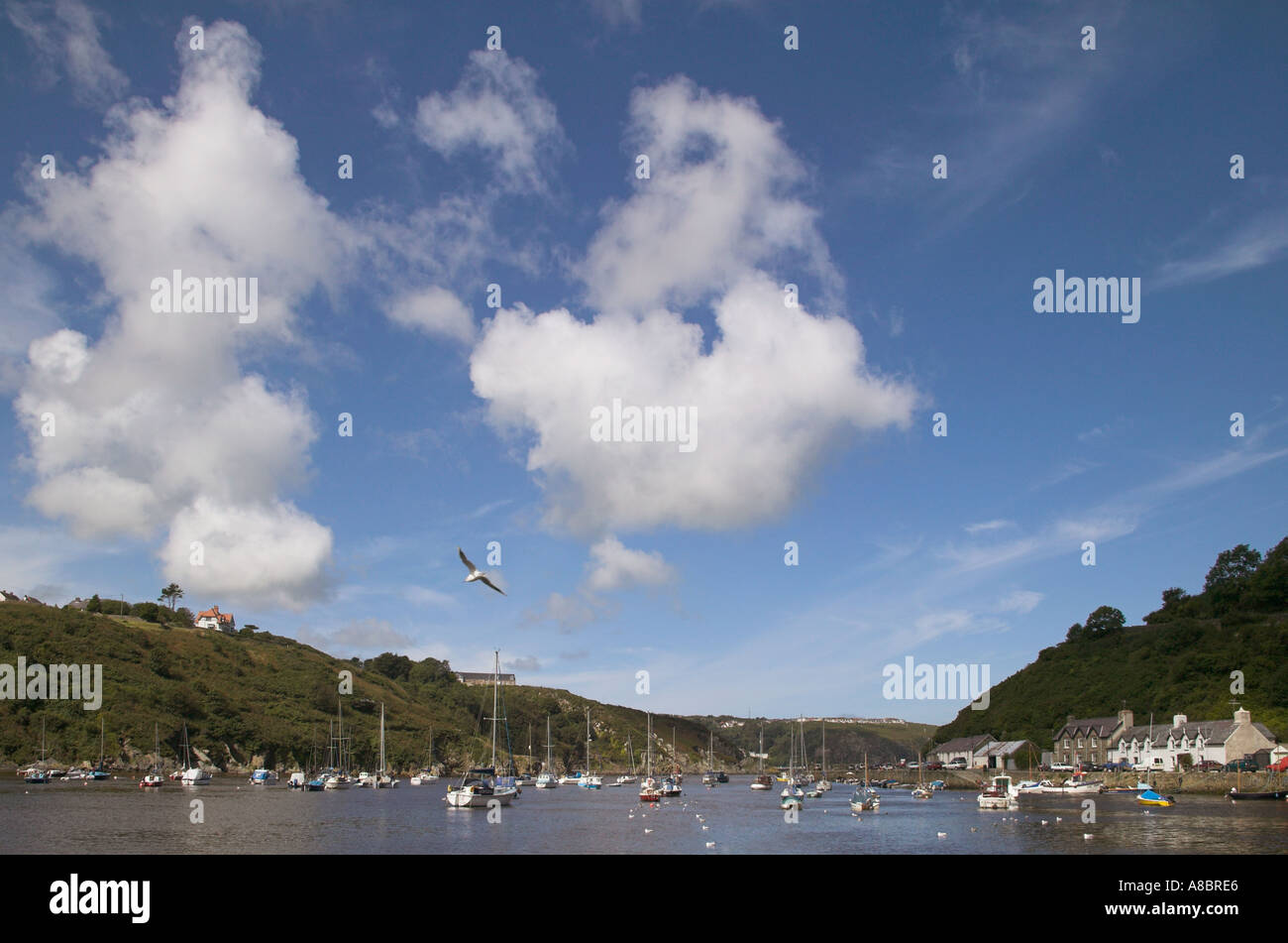 Boats Lower Fishguard Pembrokeshire West Wales Stock Photo - Alamy