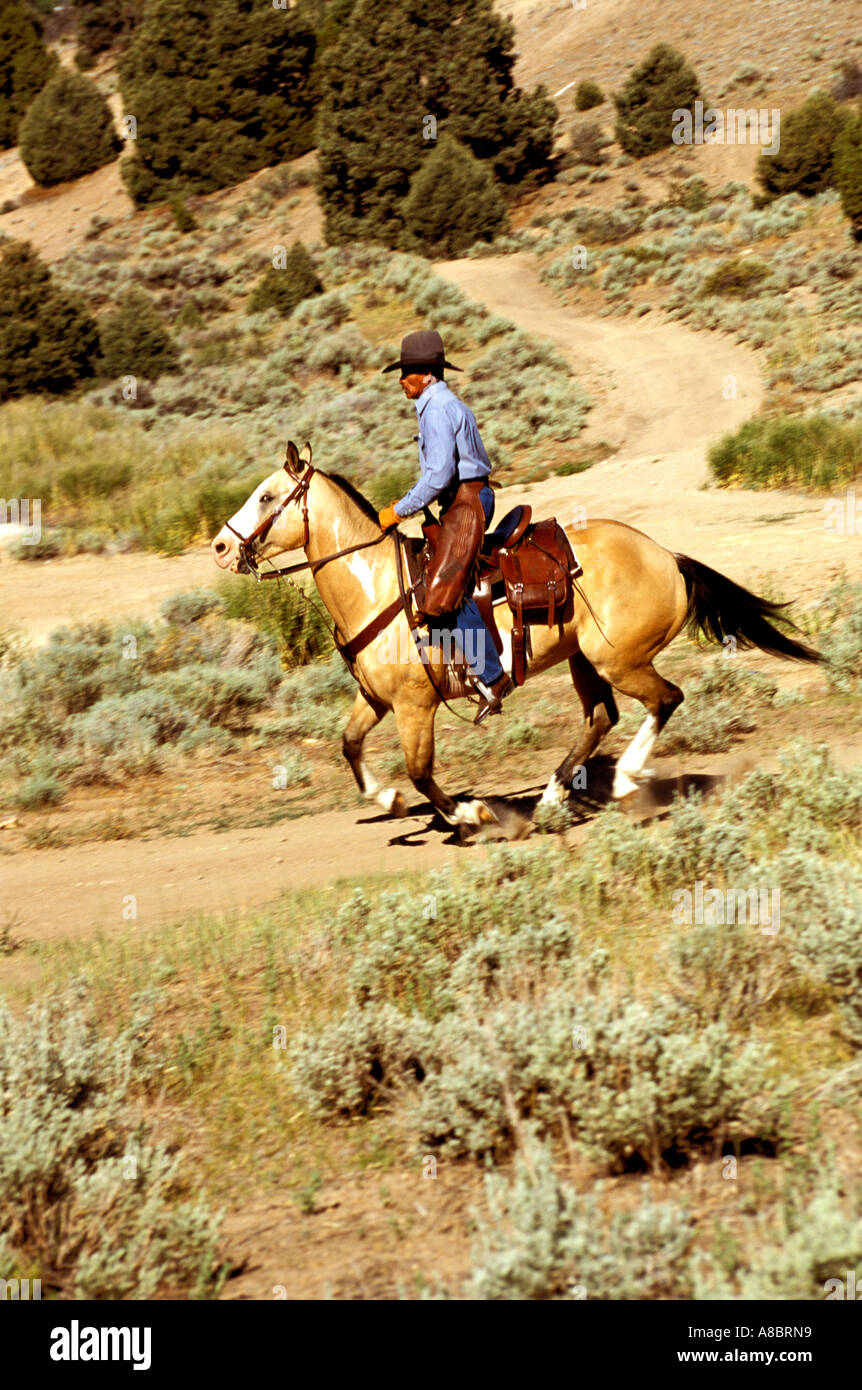 Nevada Near Reno cowboy horse leather chaps sagebrush Stock Photo