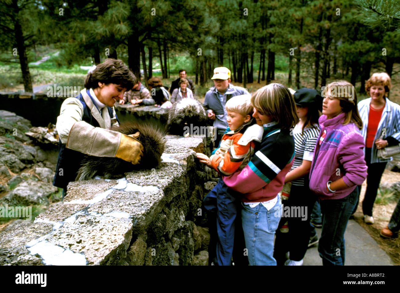 Oregon Bend High Desert Museum porcupine Stock Photo Alamy