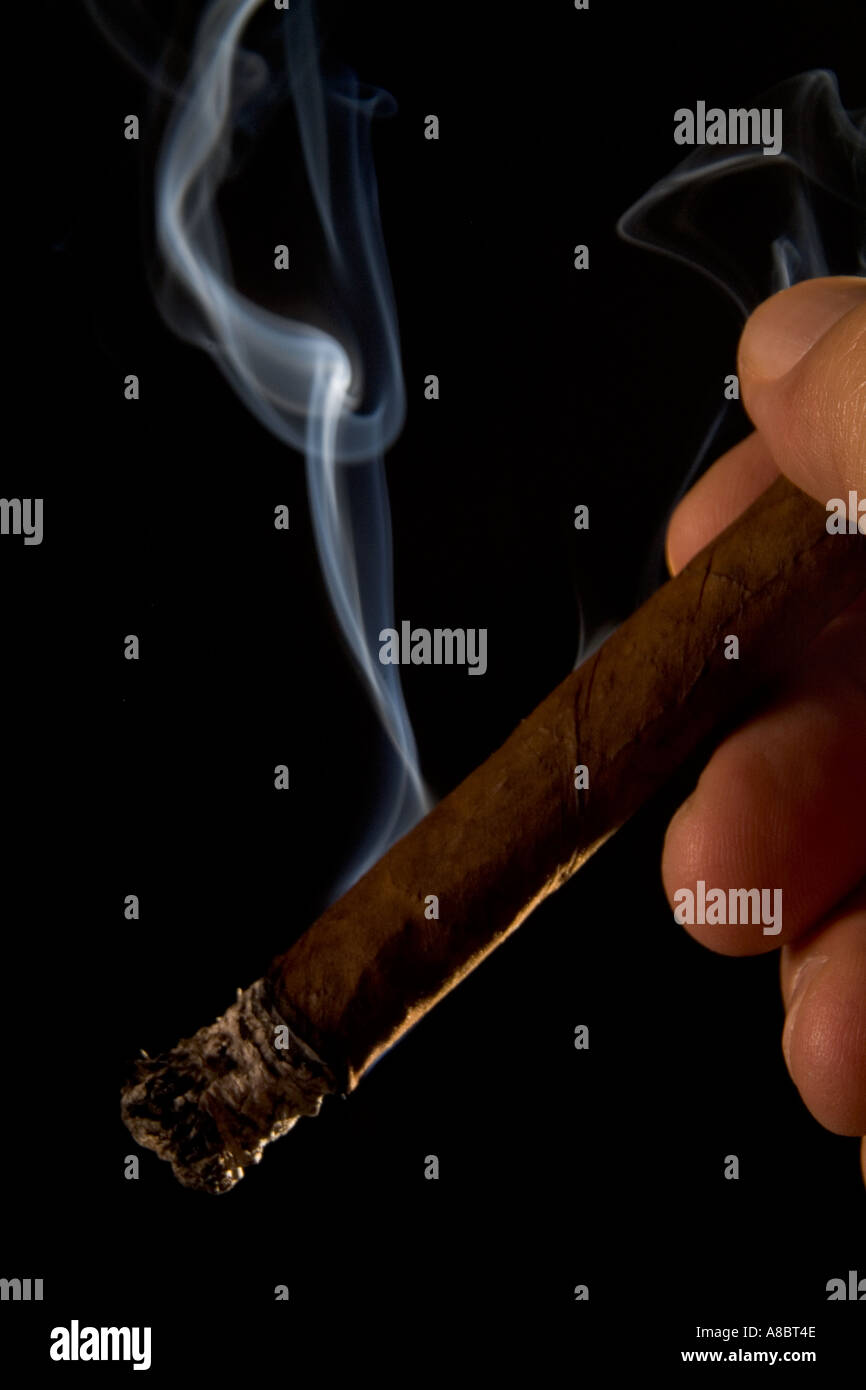 Hand holding smoking cigar against black background Stock Photo