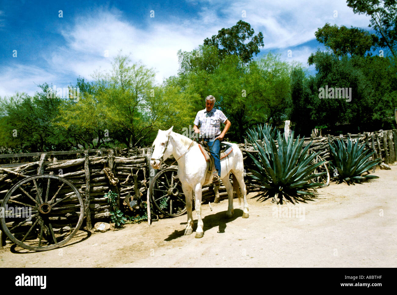White Stallion Ranch Tucson High Resolution Stock Photography and ...
