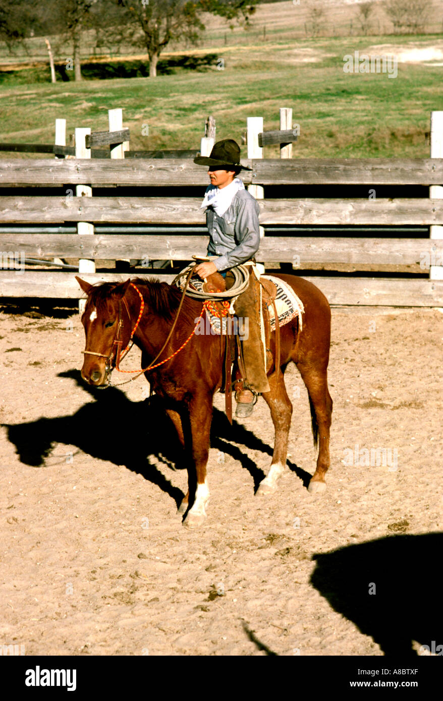 Texas Fort Worth Cowboy Stock Photo Alamy