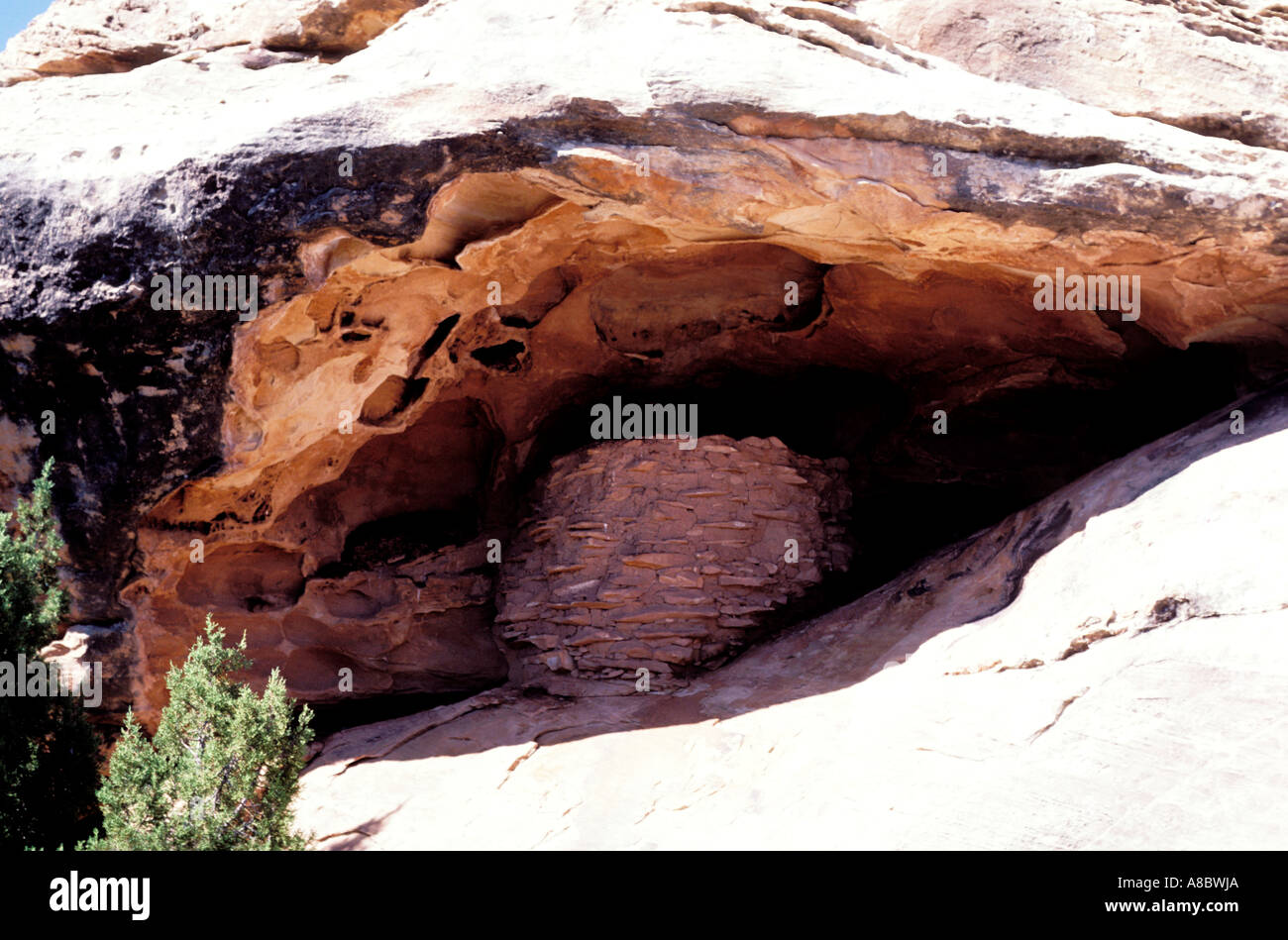 Utah UT Canyonlands National Park Anasazi Granary ancient food storage