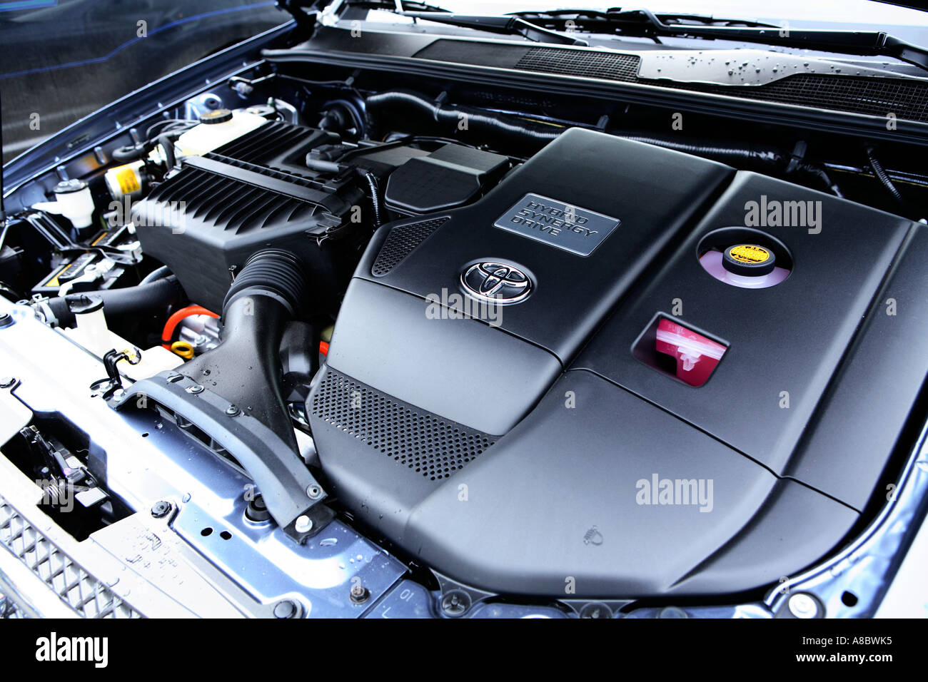 Highlander hybrid hires stock photography and images Alamy