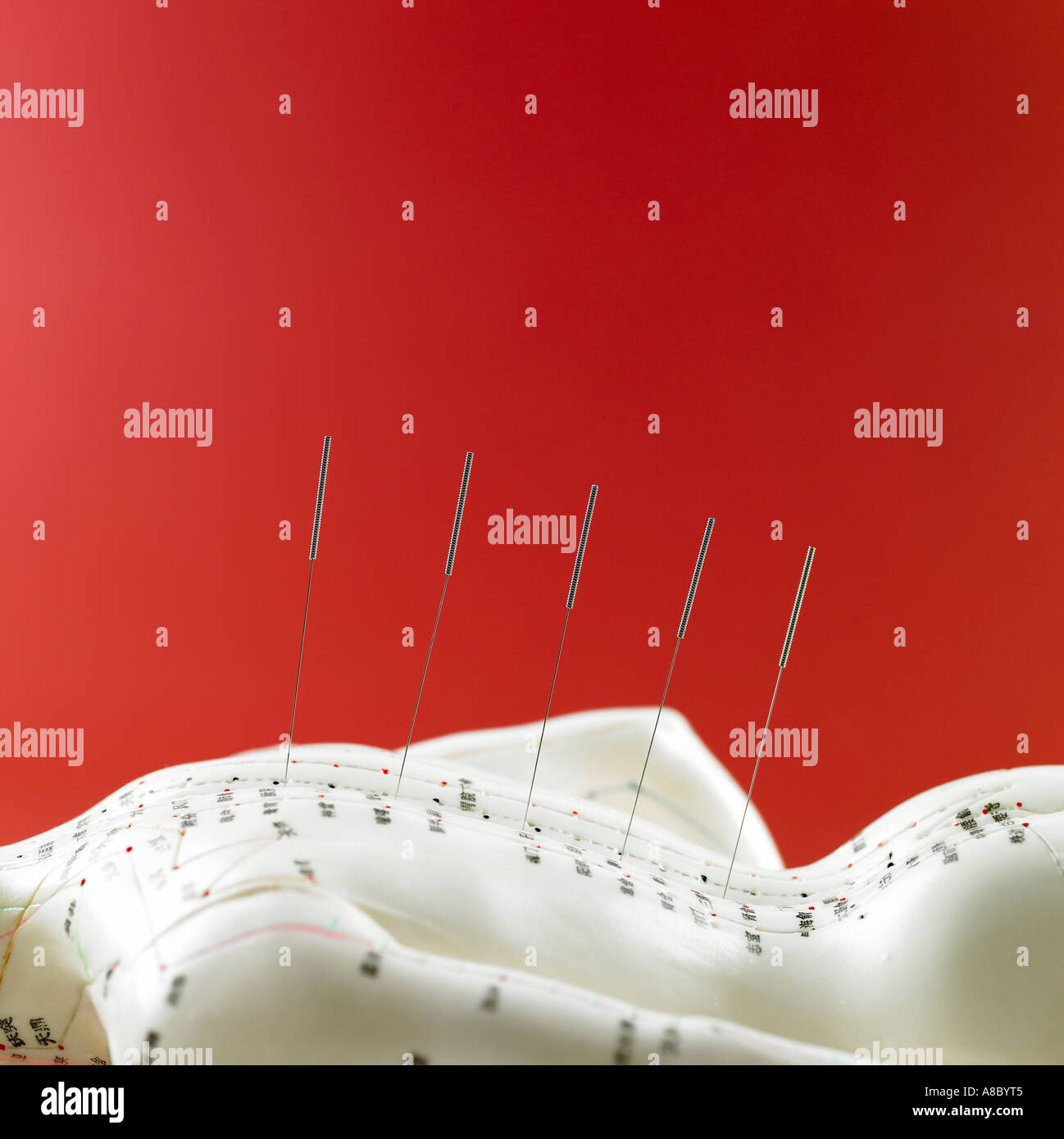 Anatomical model for acupuncture Stock Photo Alamy