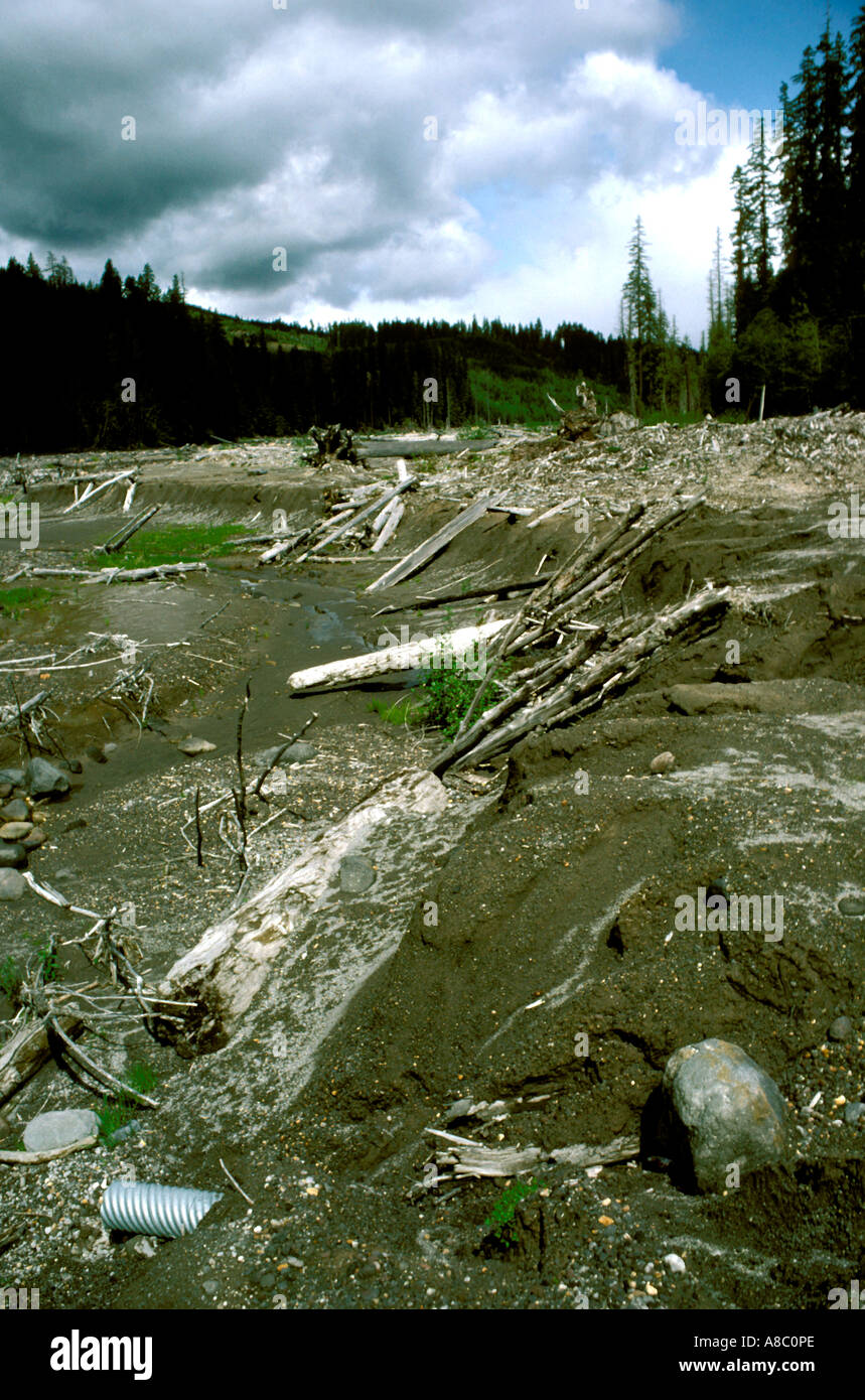 Washington Volcano devastation Mt St Helens mud flow at Muddy Creek Stock Photo