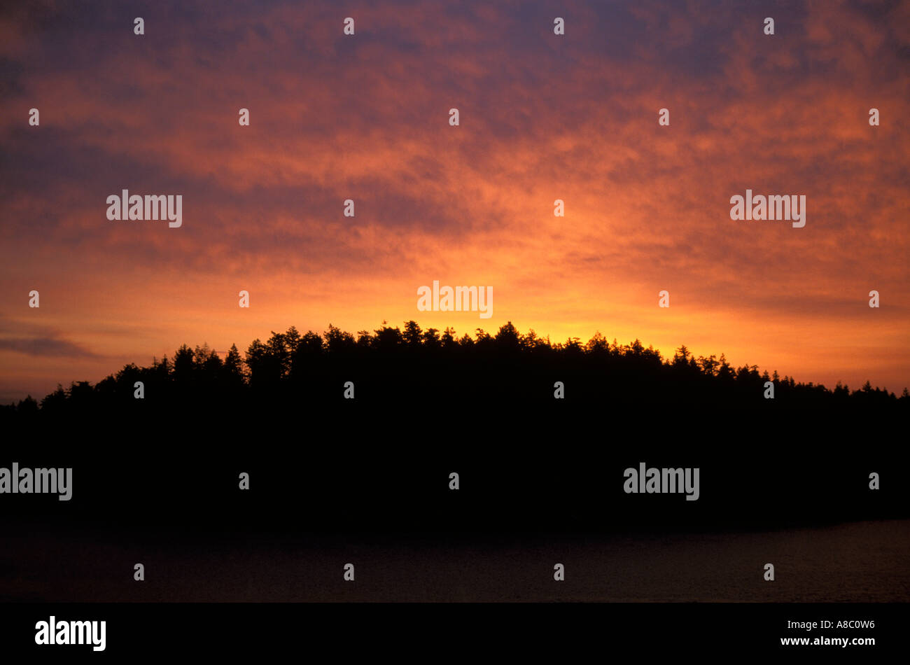 West coast san juan island hi-res stock photography and images - Alamy