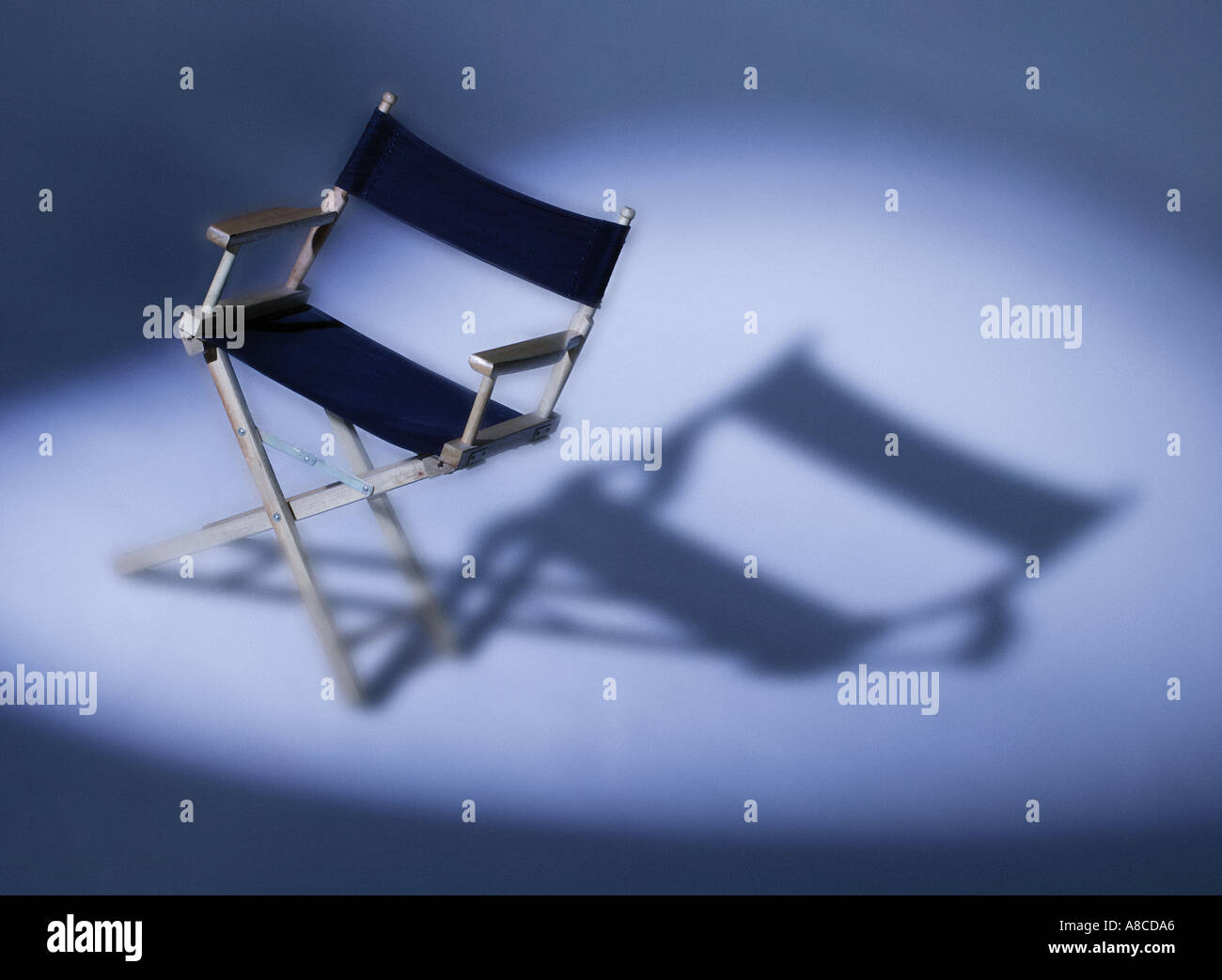 Director chair online covers spotlight