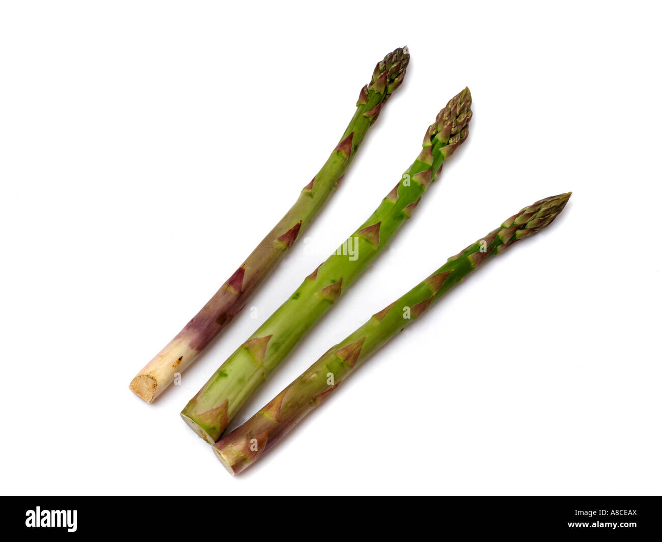 Three Asparagus Spears From Lincolnshire England Stock Photo Alamy