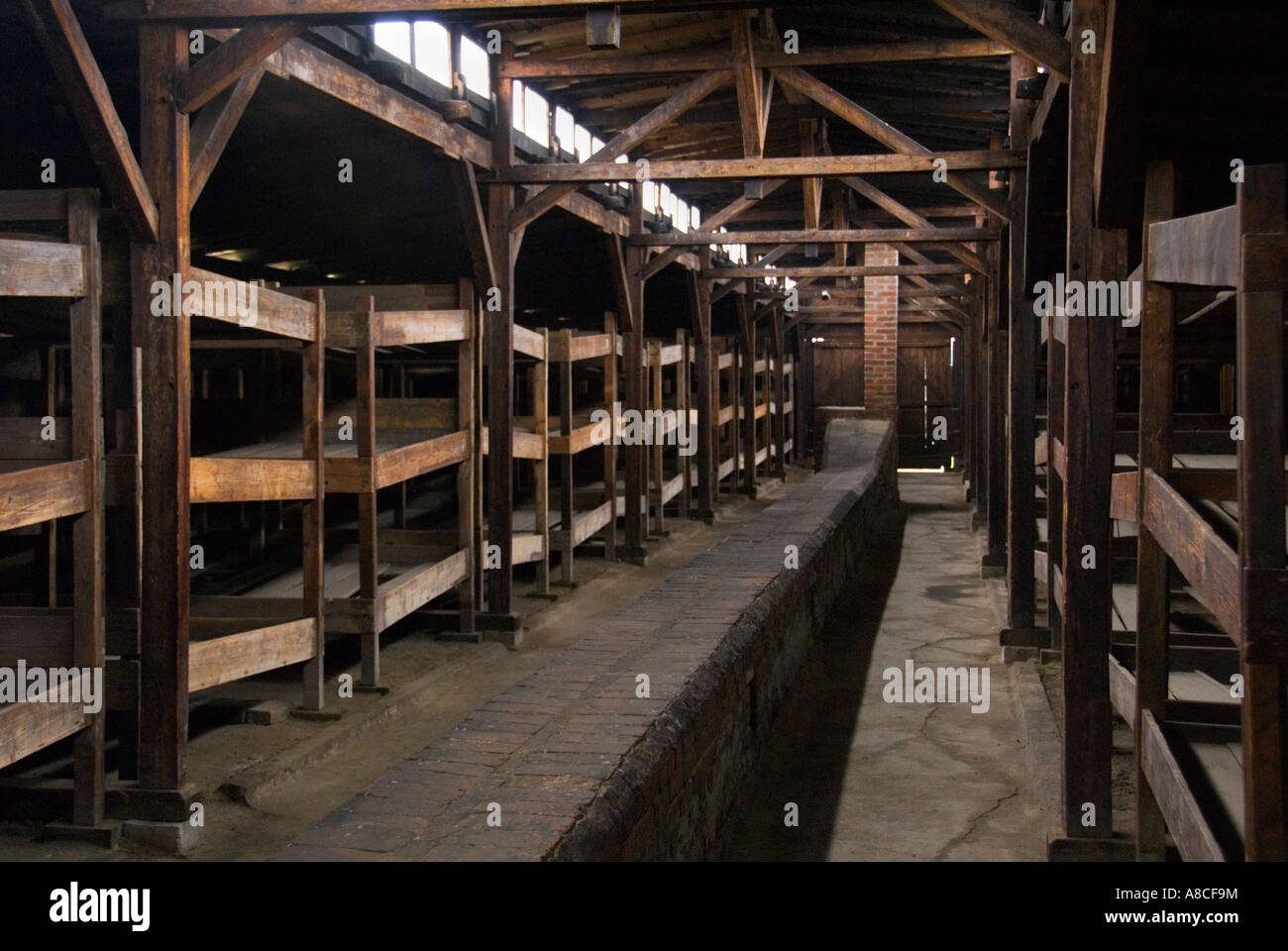 Bunk Beds Inside Auschwitz Hut Birkenau Stock Photo