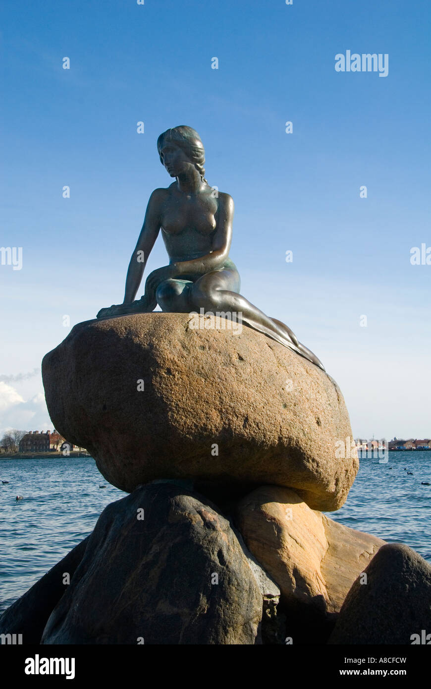 The Little Mermaid Statue In Copenhagen Denmark Stock Photo