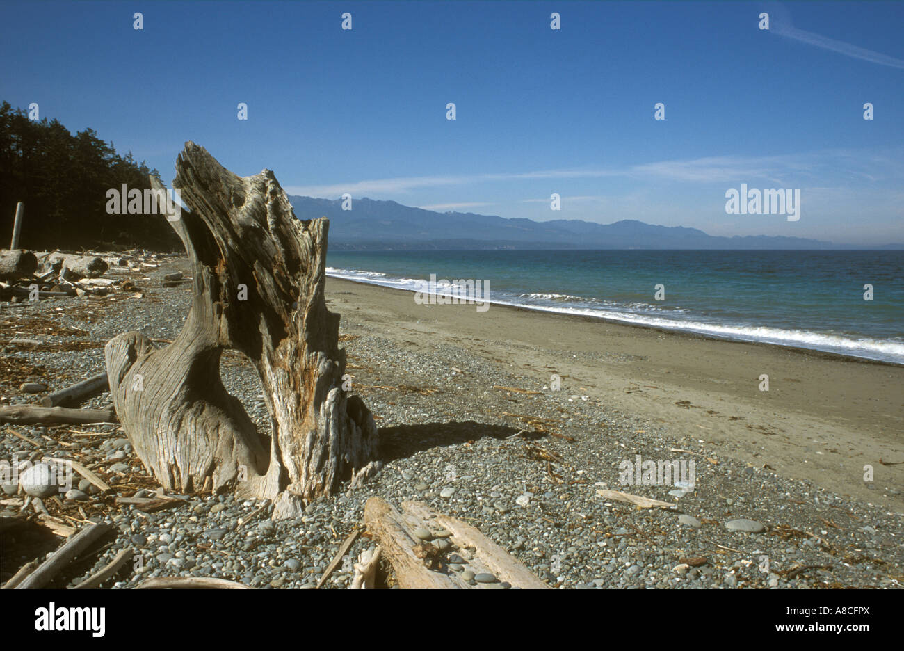 Dungeness washington hi-res stock photography and images - Alamy