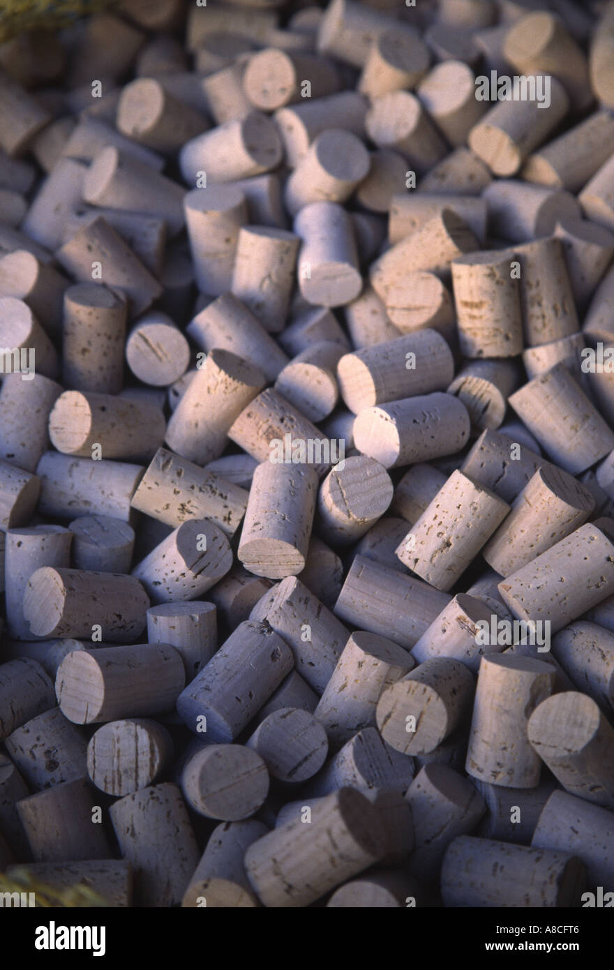 Cork Display Stock Photo