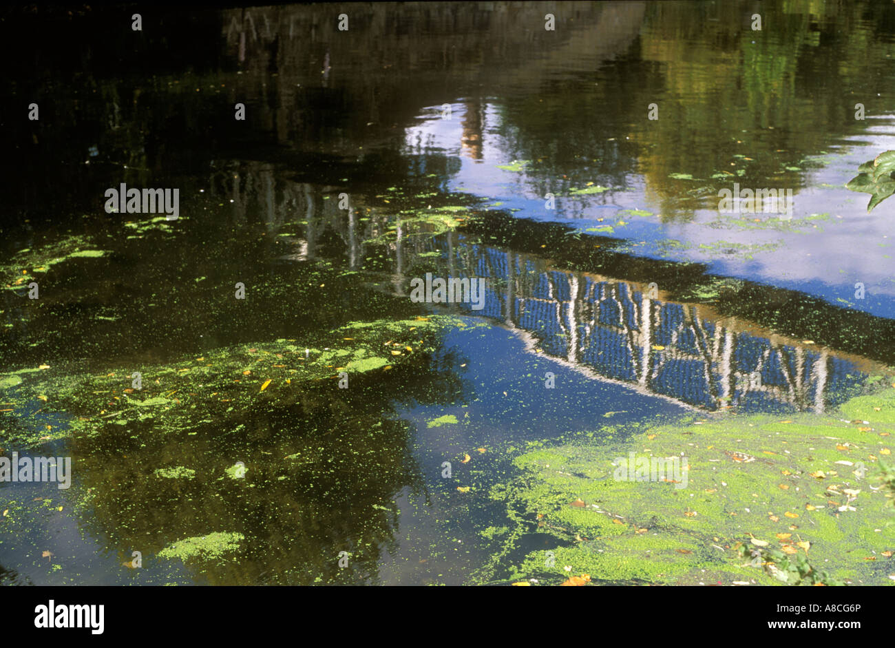 Reflection of a bridge in the water of  the Lee Valley canal on Walthamstow marshes Lee valley park Hackney London. Stock Photo