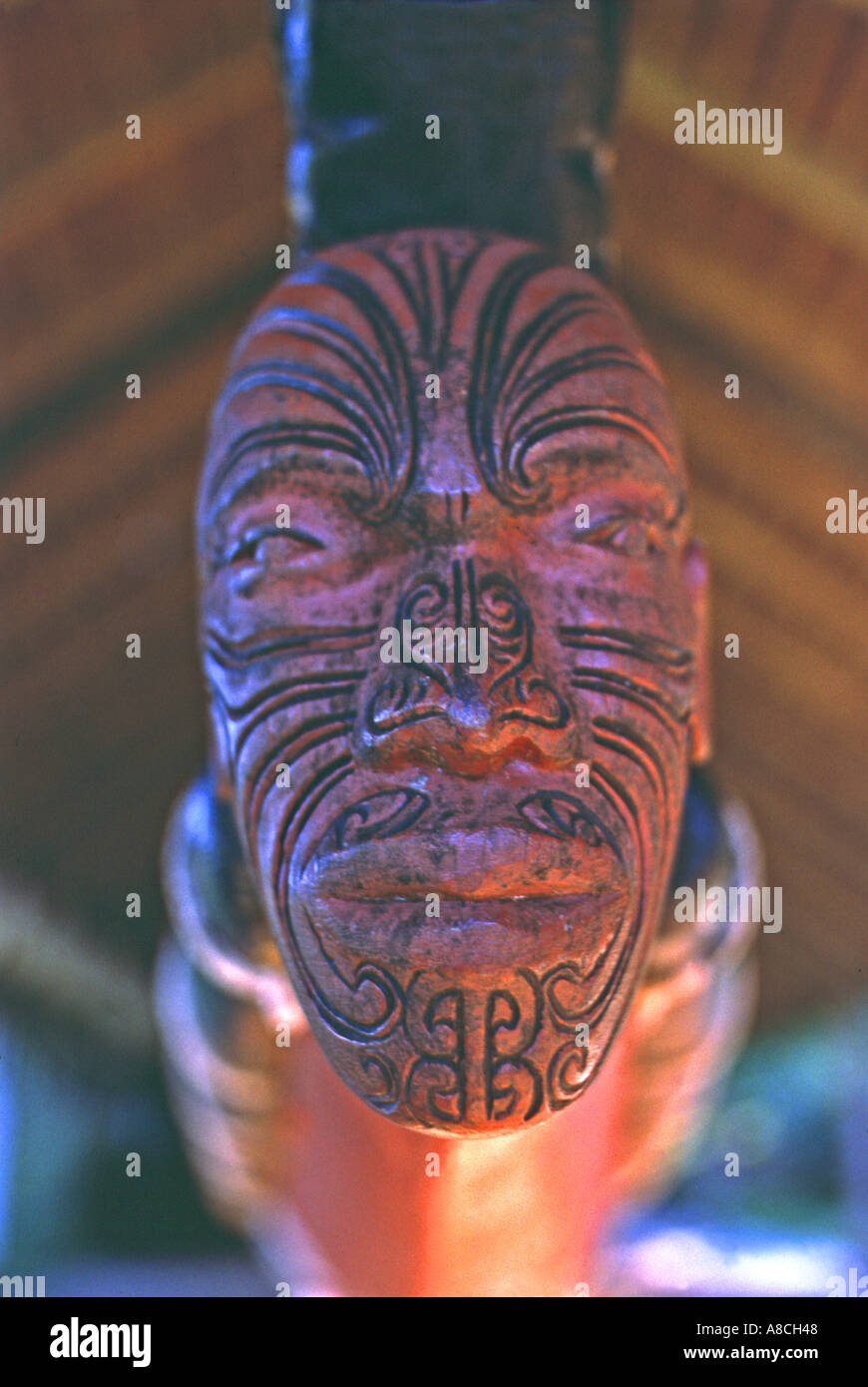 Carved Maori canoe prow Waitangi North Island New Zealand Stock Photo