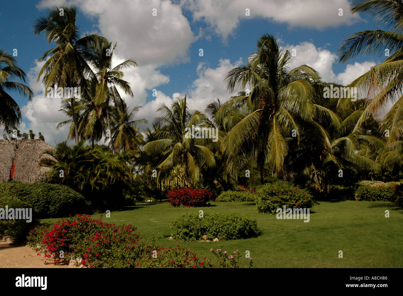 Dominican Republic Casa de Campo beach gardens Stock Photo Alamy