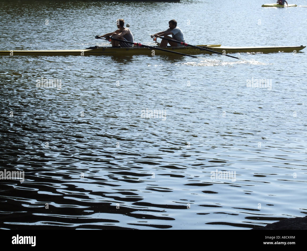 rowers on lake Stock Photo - Alamy