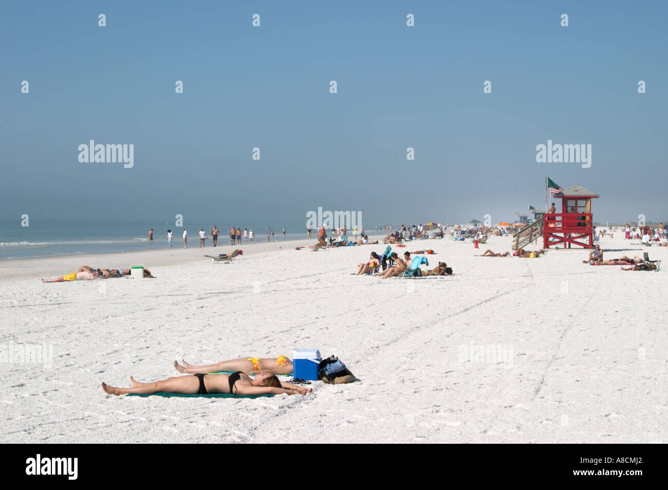 SIESTA KEY PUBLIC BEACH ON SIESTA KEY IN SOUTHWEST FLORIDA Stock Photo ...