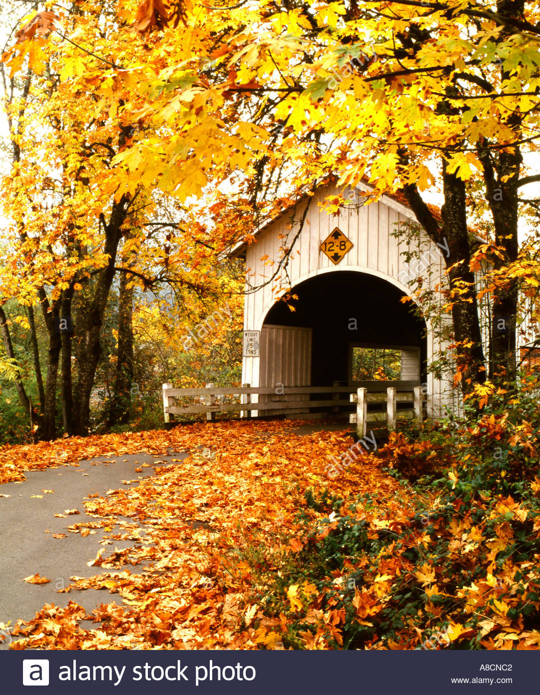 Autumn view of Neal Lake Covered bridge near the small town of Myrtle