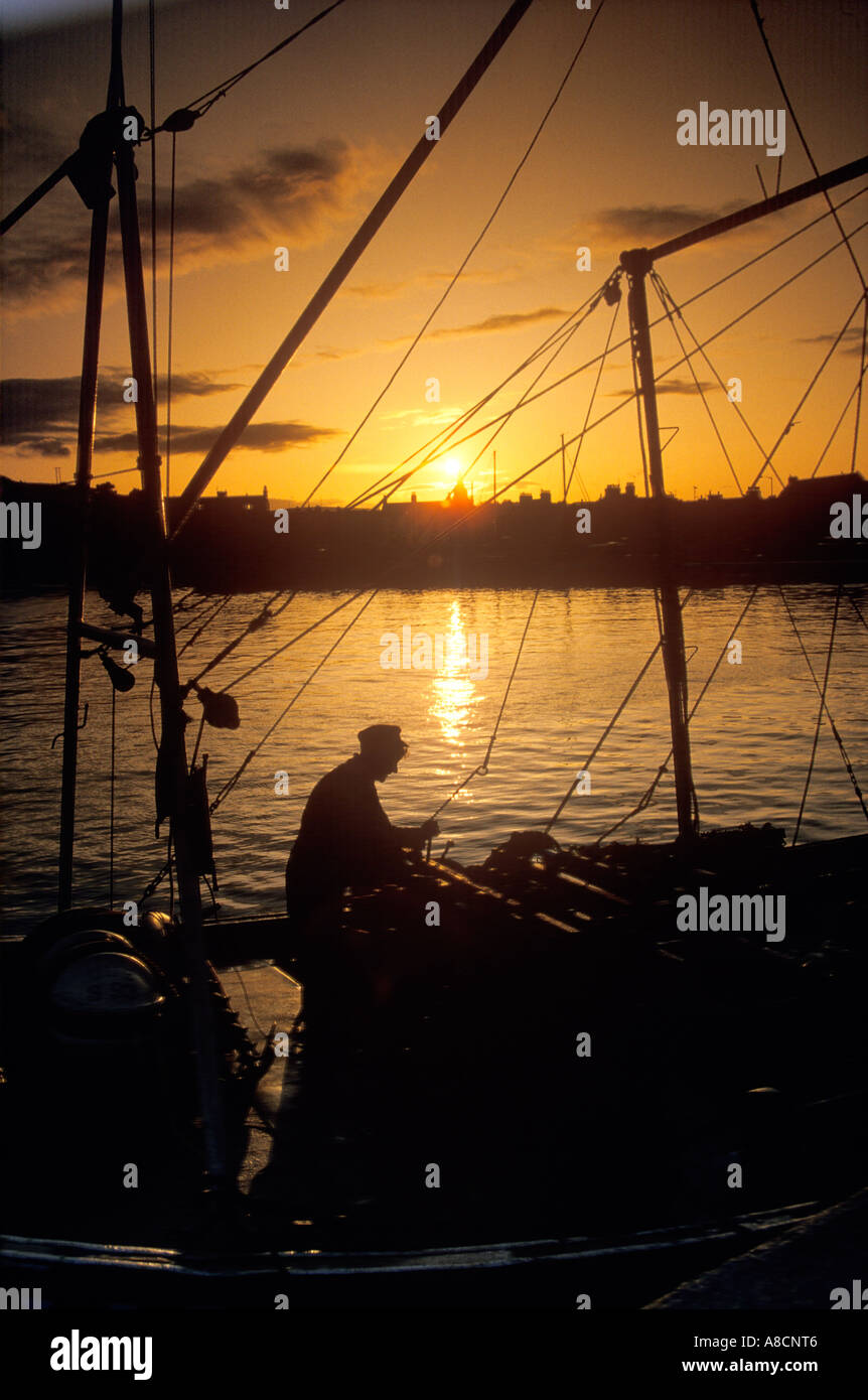 Scallop fishermen unloading their catch at Stonehaven, Grampian Stock
