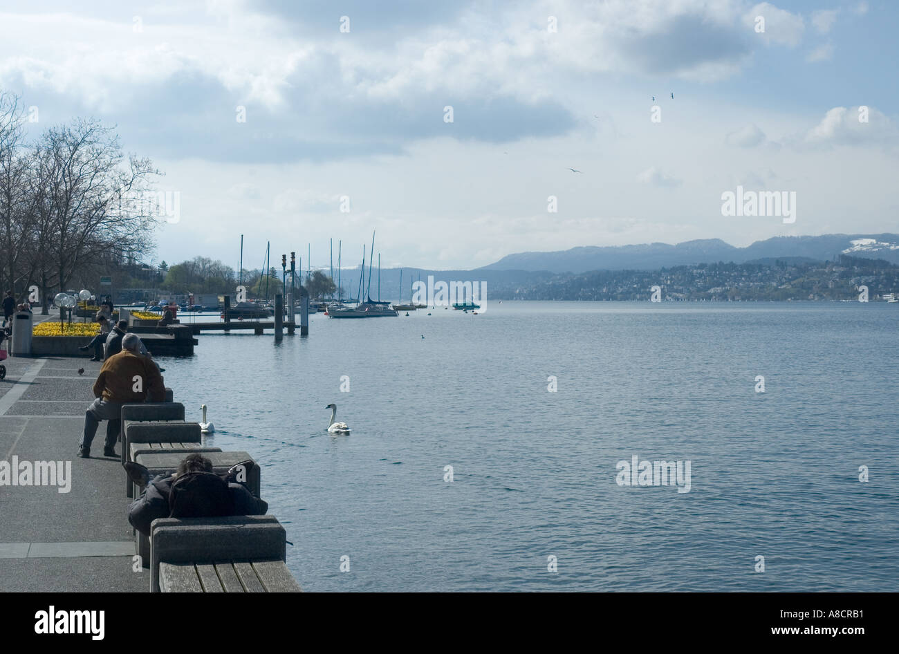 Zurichsee Lake in the beautiful city of Zurich Switzerland Stock Photo
