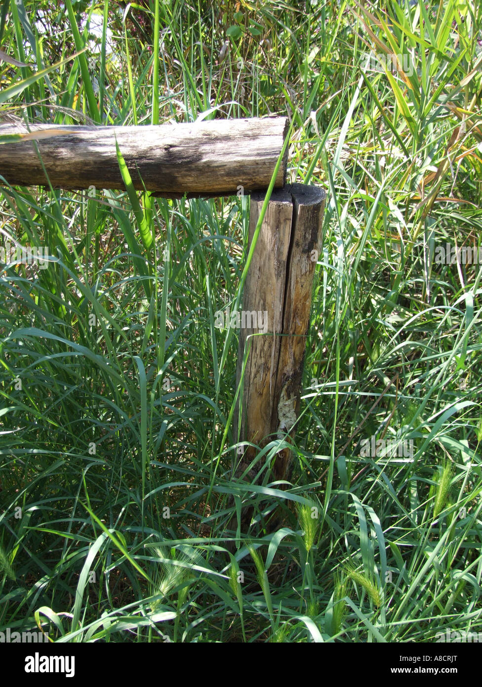 old fence in field Stock Photo - Alamy