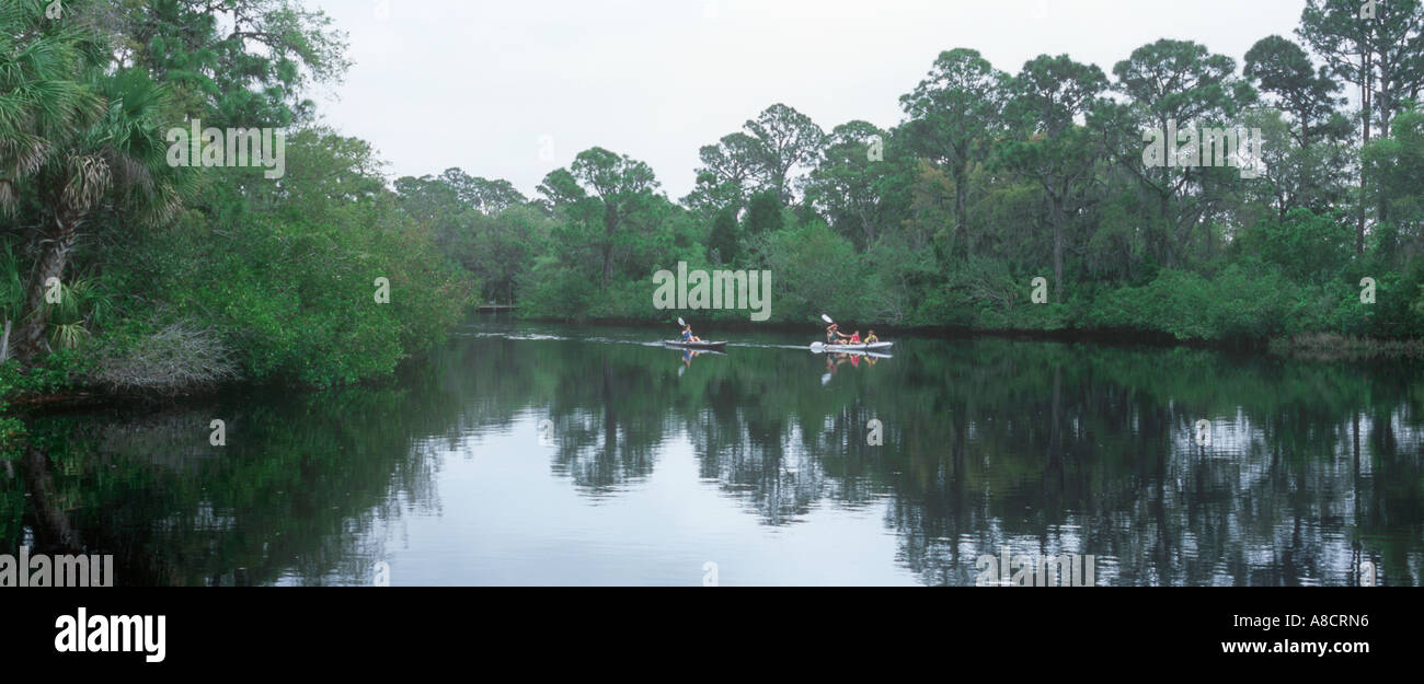 SOUTH CREEK IN OSCAR SCHERER STATE PARK OSPREY FLORIDA Stock Photo - Alamy
