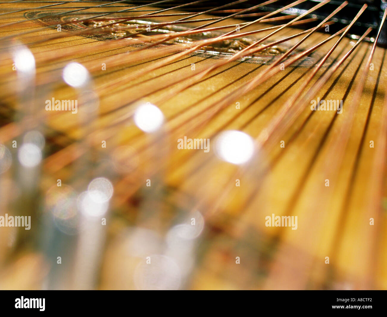 Kozak art music Ukrainian bandura kobza kobsa torban Stock Photo - Alamy