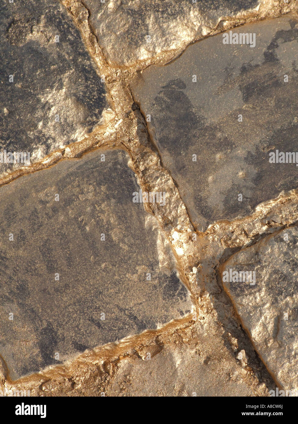 street paved with gold Stock Photo Alamy
