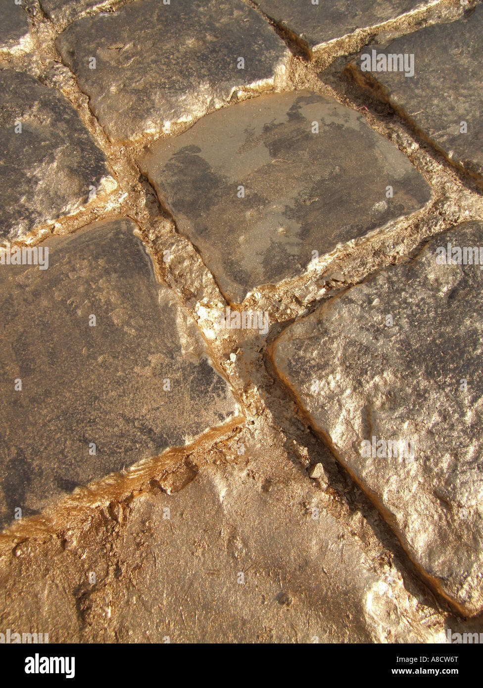 street paved with gold Stock Photo Alamy