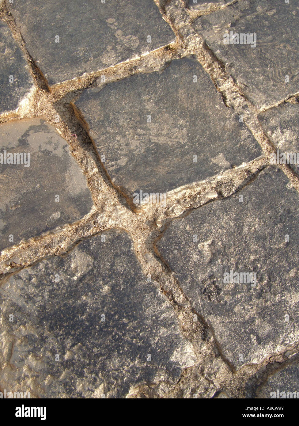 street paved with gold Stock Photo Alamy