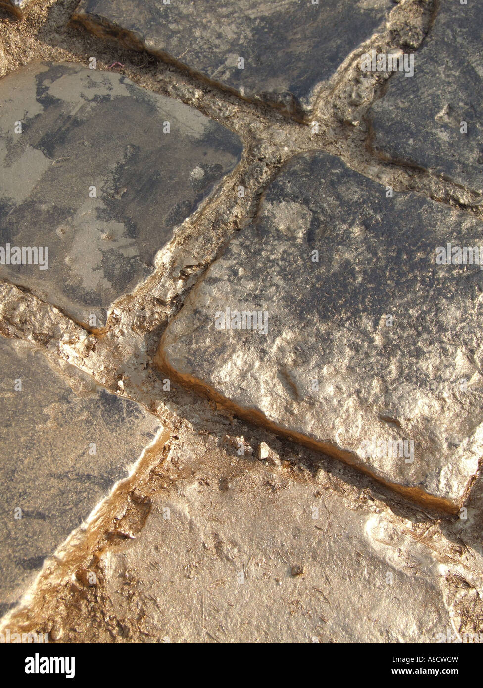 street paved with gold Stock Photo Alamy